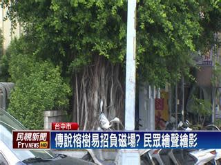 榕樹 招陰 在辦公室